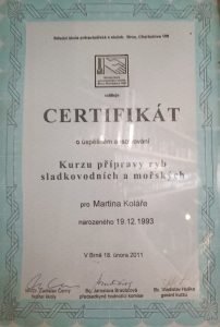 certifikat-9